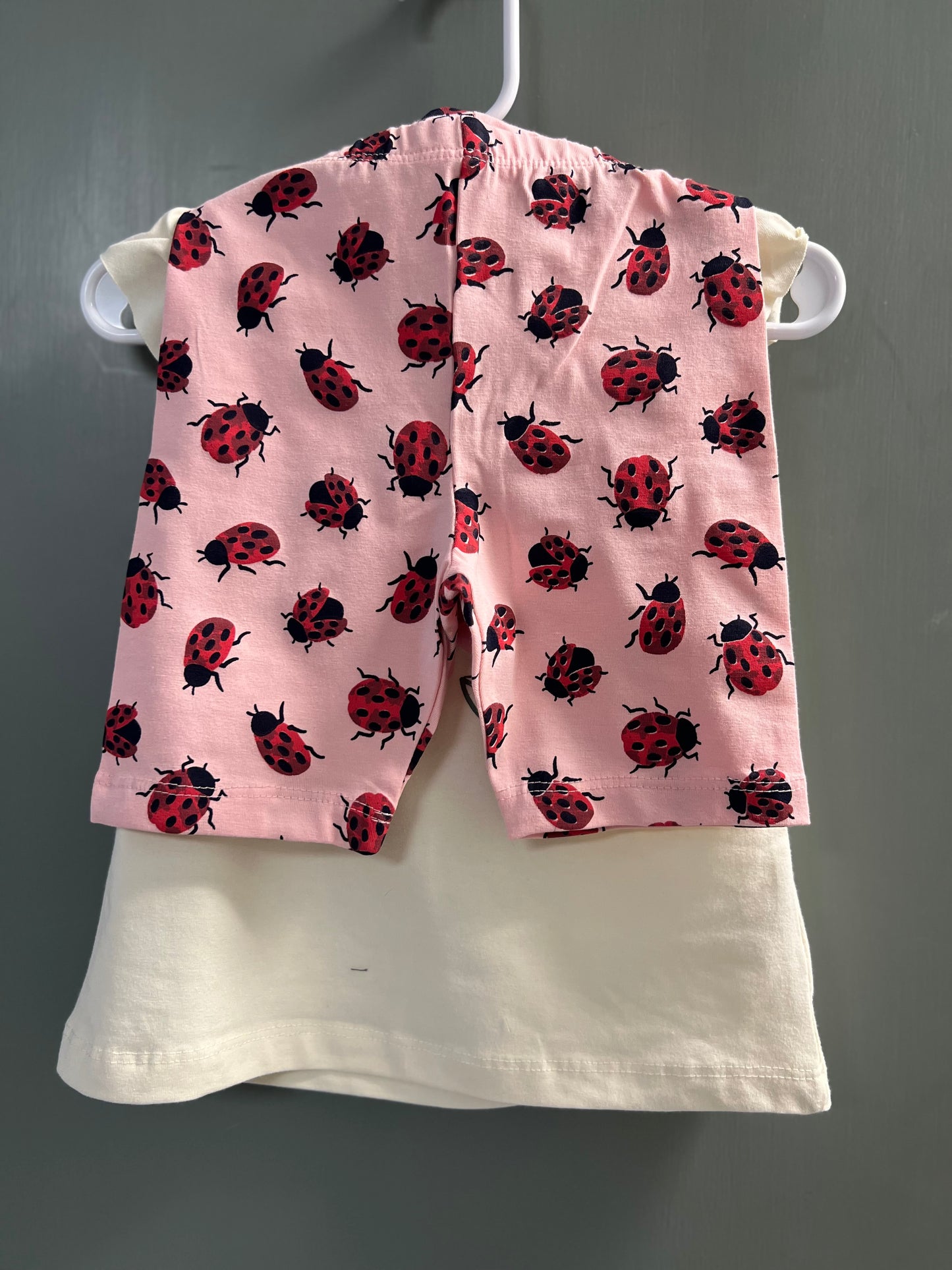 Lady Bug Short Set